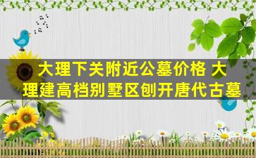 大理下关附近公墓价格 大理建高档别墅区刨开唐代古墓